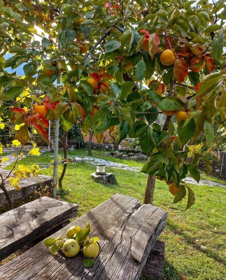 Sailor'S Rustic House Villa Virpazar Eksteriør billede