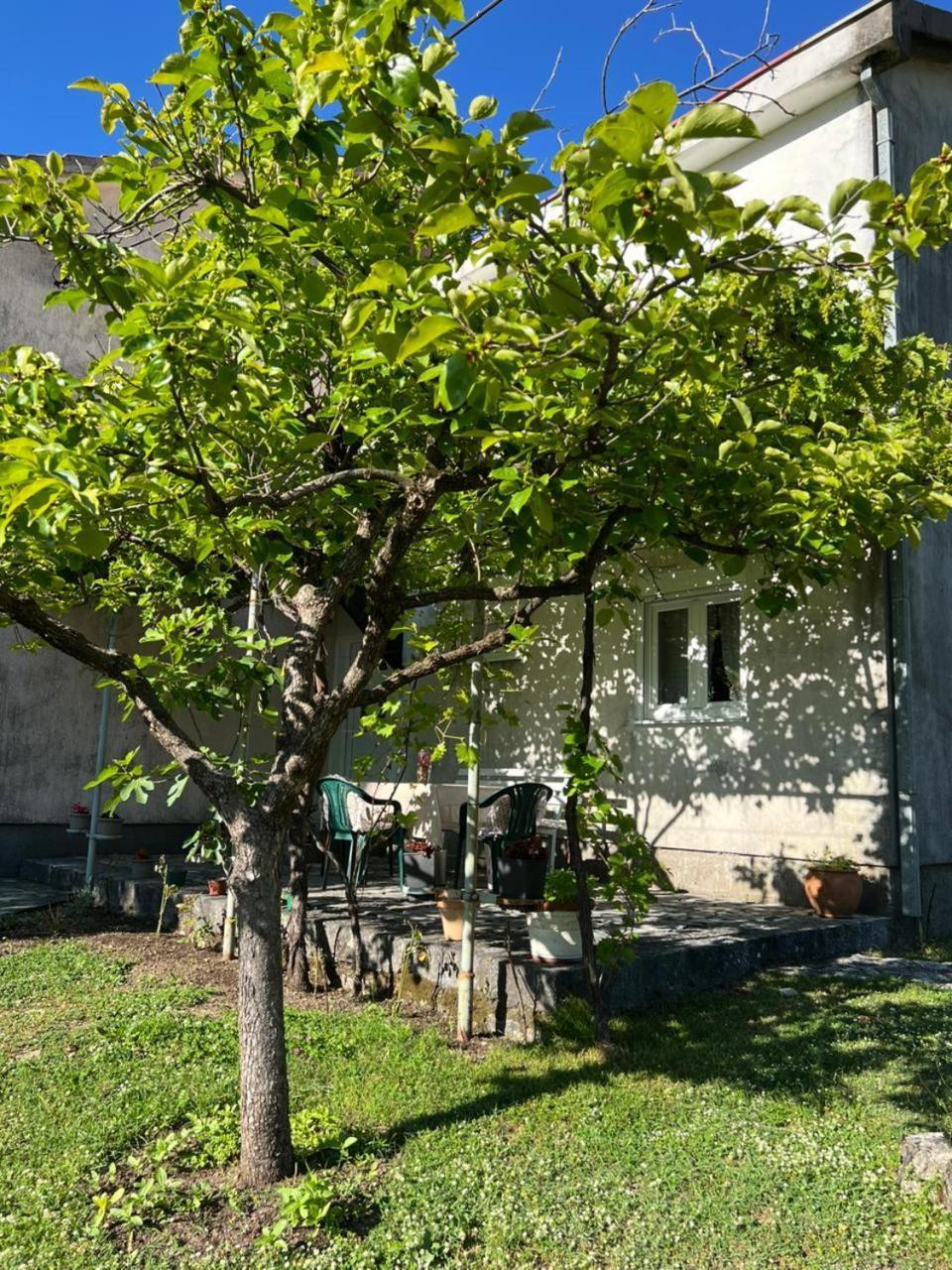 Sailor'S Rustic House Villa Virpazar Eksteriør billede