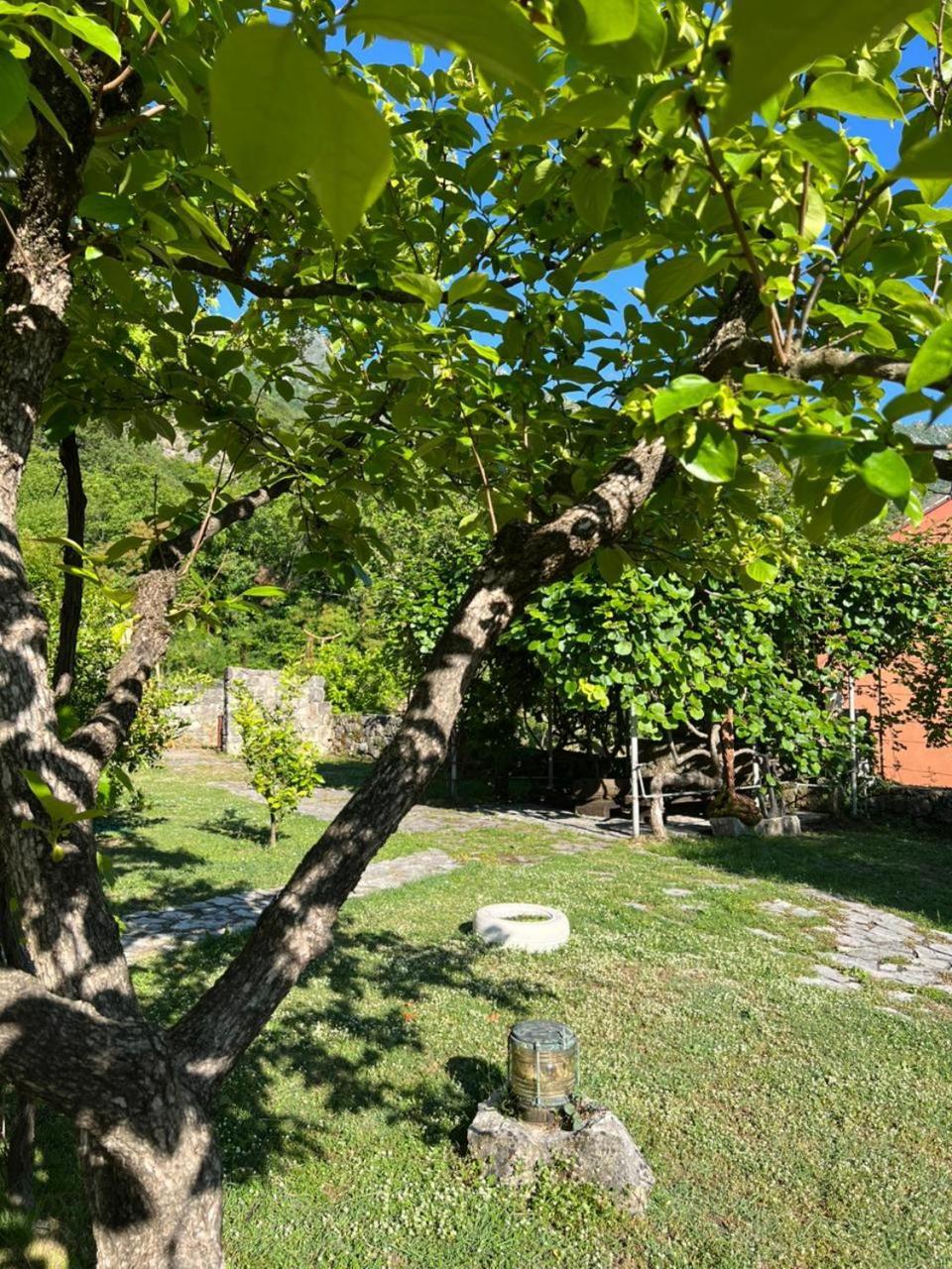 Sailor'S Rustic House Villa Virpazar Eksteriør billede